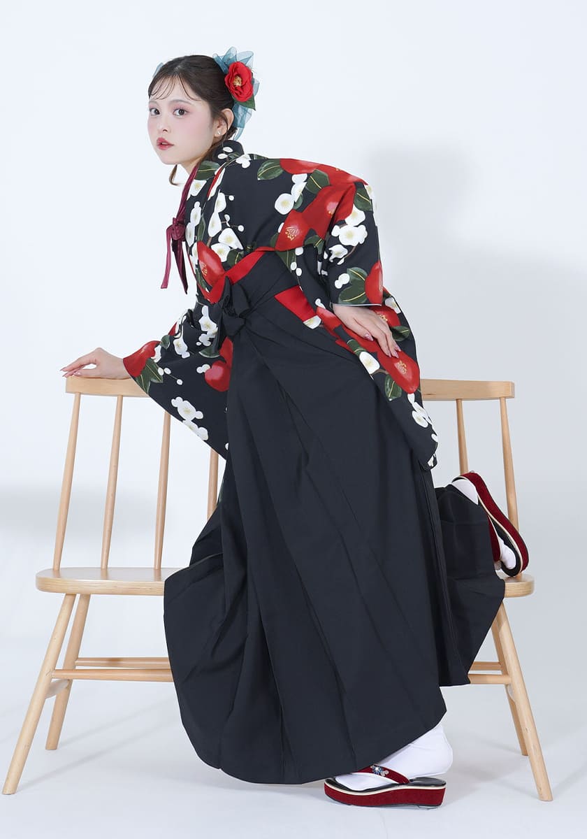 ベーシックモード